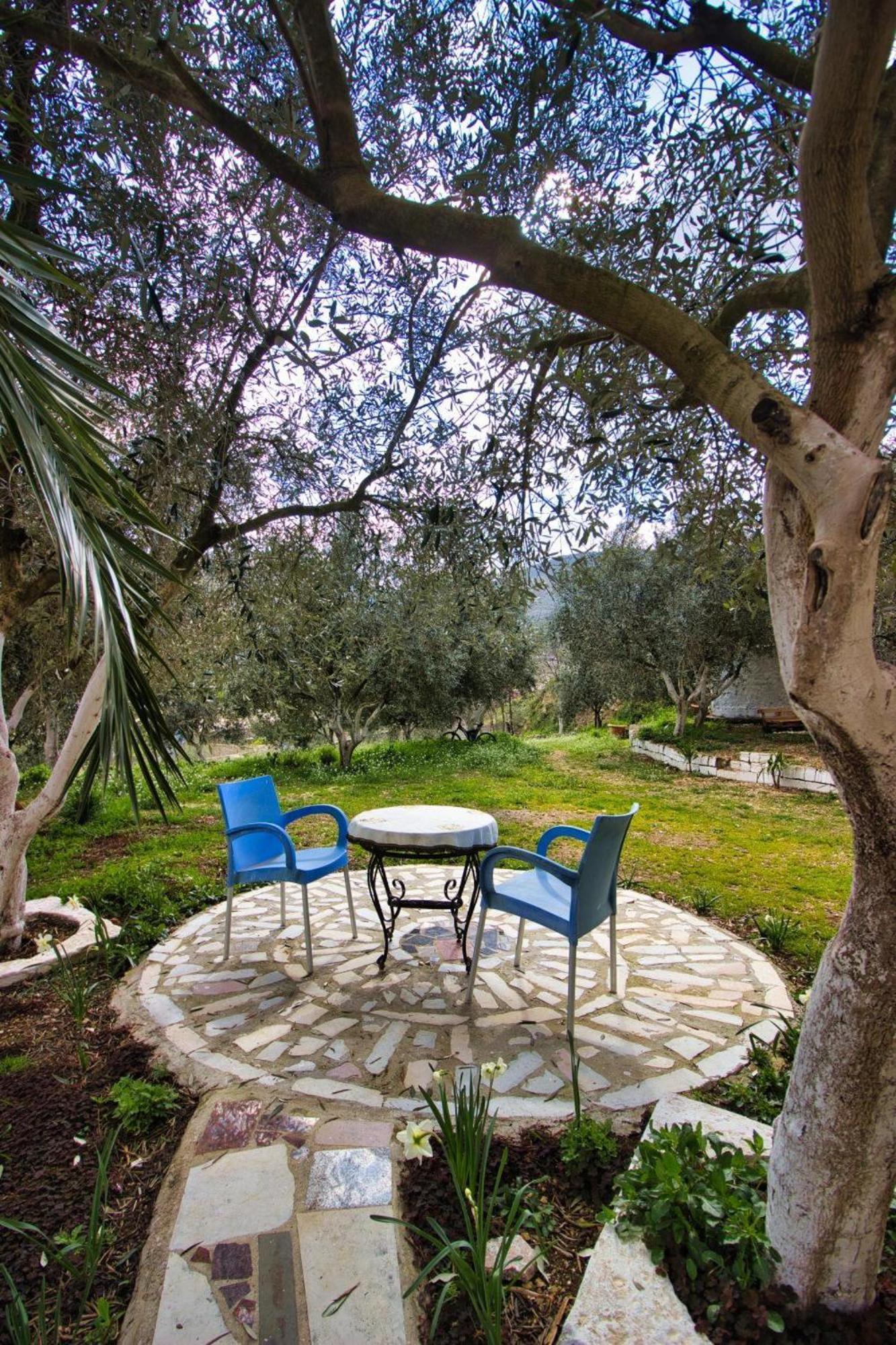 The Olives Lazarat Gjirokastër