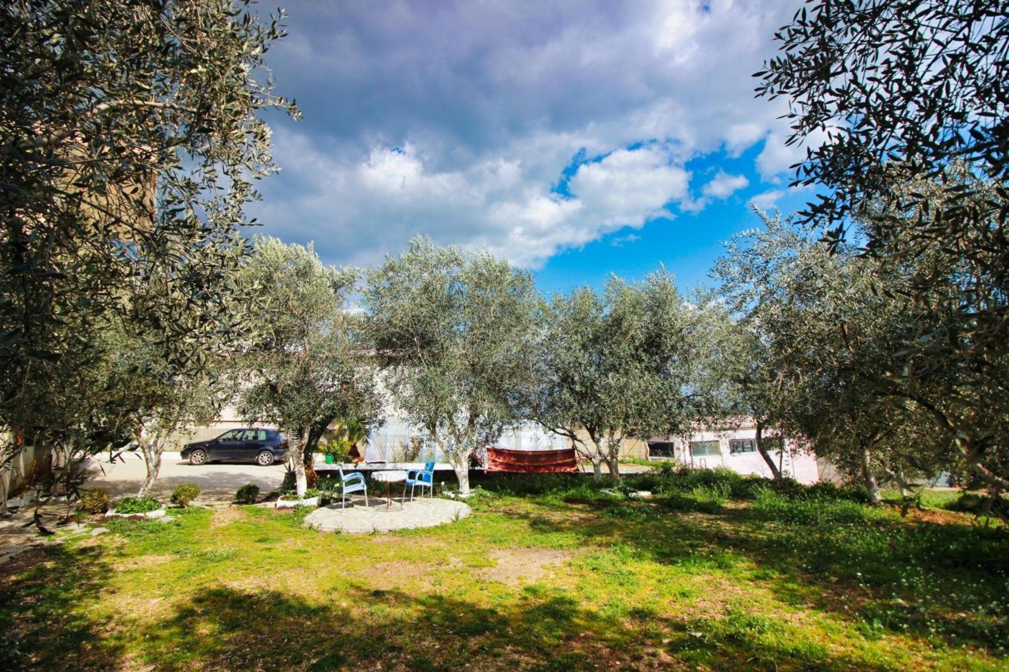 Gasthof The Olives Lazarat *