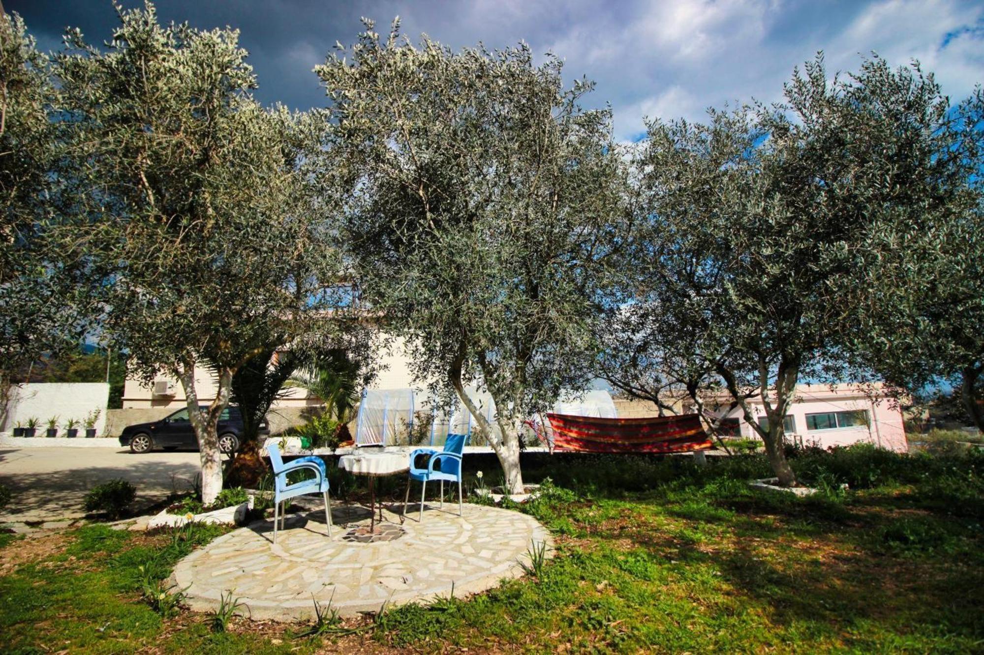 Gasthof The Olives Lazarat Gjirokastër